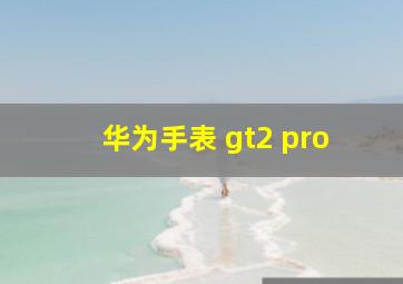 华为手表 gt2 pro